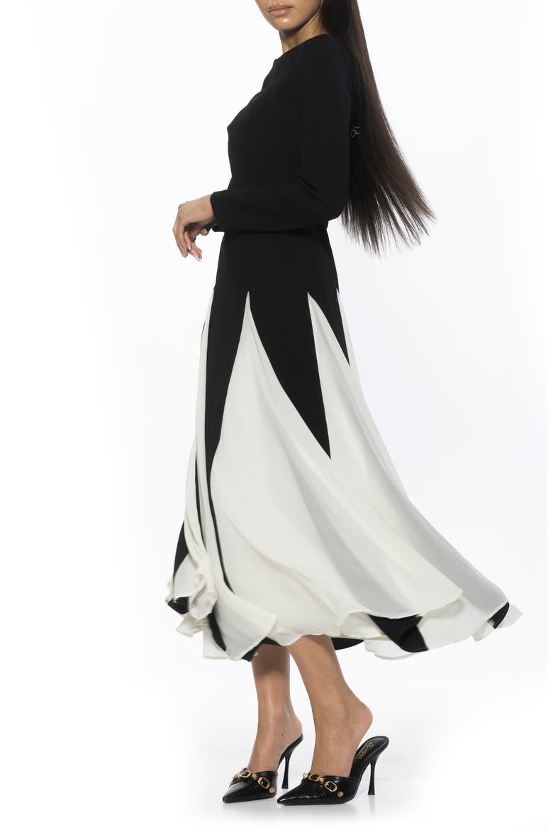 Elodie Floral Long Sleeve Maxi Dress, Alternate, color, BLACK/ WHITE