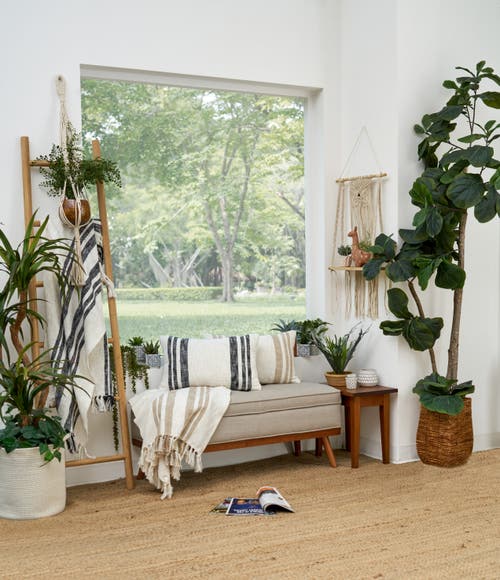 Carol & Frank 50" X 60" Morgan Tasseled Woven Throw In Neutral