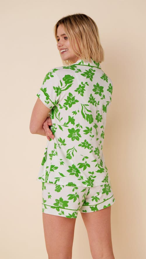 The Cat's Pajamas Pima Knit Short Pajama Set In Green