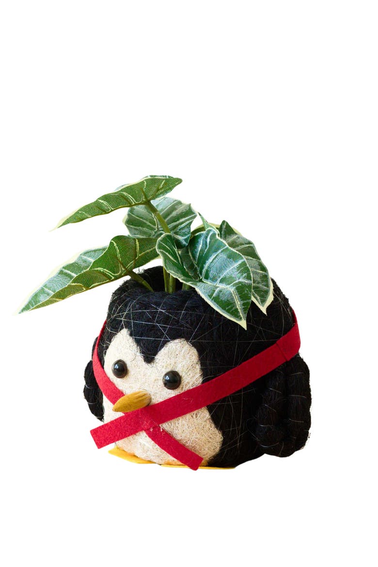 Winter Animal Coco Coir Planters, Alternate, color, Black