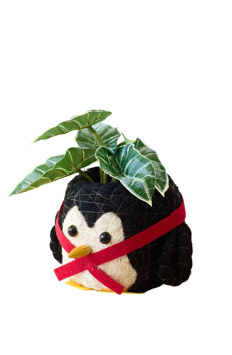 LIKHA Winter Animal Coco Coir Planters, Alternate, color, Black