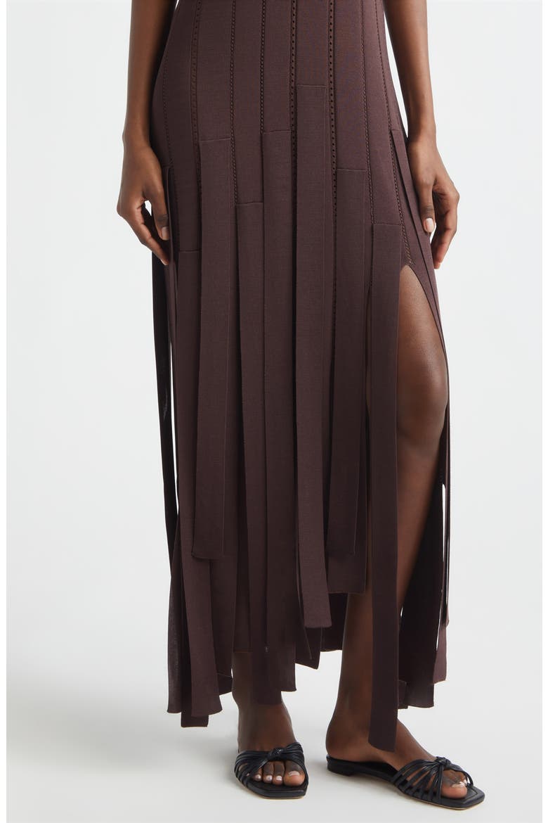 Kindred Spirit Luna Fringe Pointelle Rib Sweater Dress, Alternate, color, CHOCOLATE