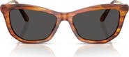Swarovski 56mm Cat Eye Sunglasses