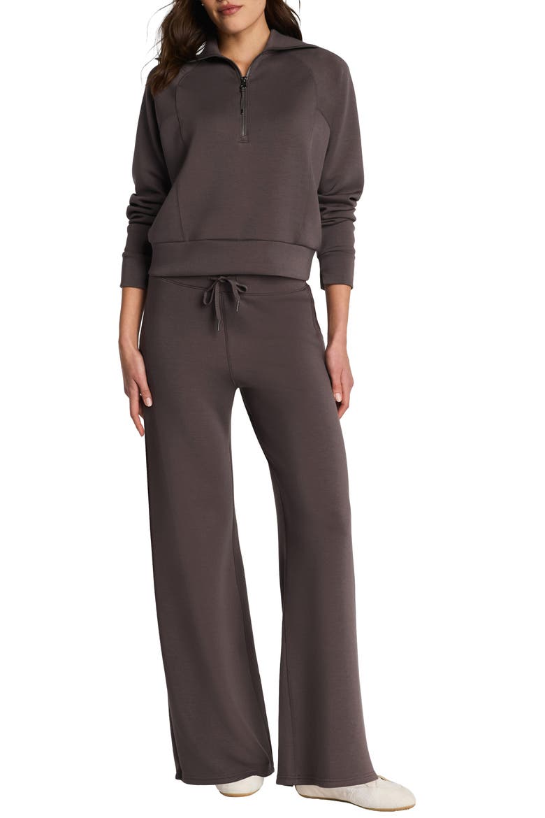 AirEssentials® Pull-On Wide Leg Pants, Alternate, color, DARK CACAO