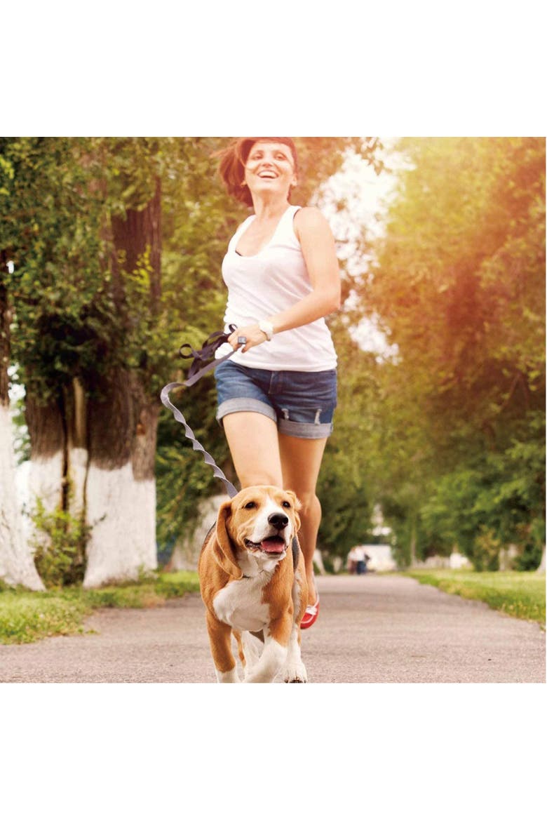 Hands Free Bungee Dog Leash, Alternate, color, Multicolored