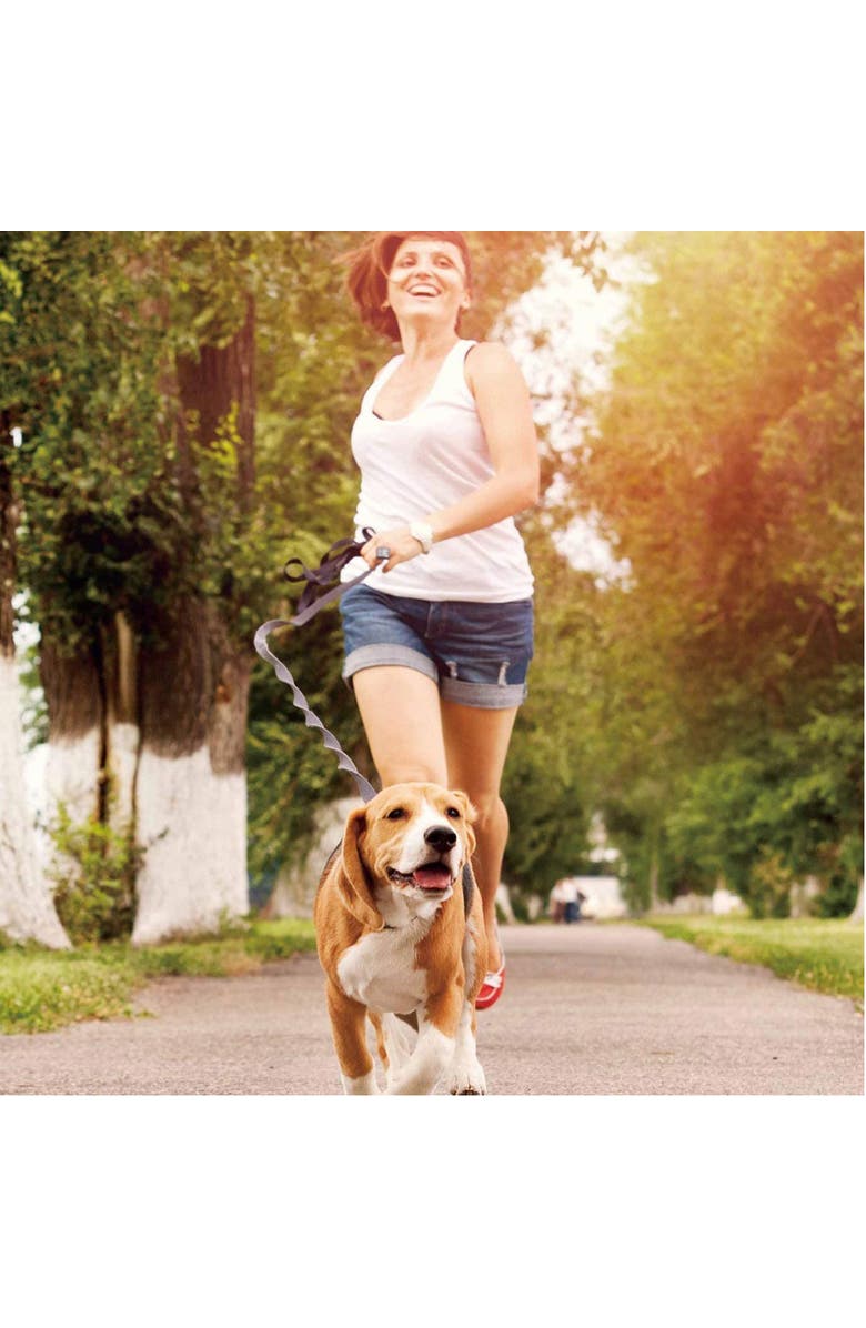 JESPET Hands Free Bungee Dog Leash, Alternate, color, Multicolored