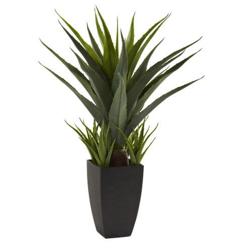 30-in Agave w/Black Planter
