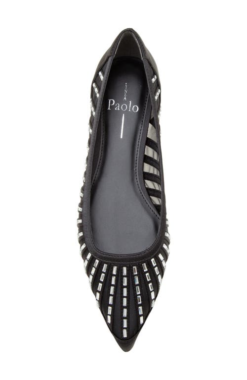 Linea Paolo Noelle Pointed Toe Flat In Multi