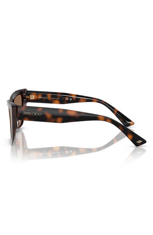 Jimmy Choo 53mm Cat Eye Sunglasses In Havana