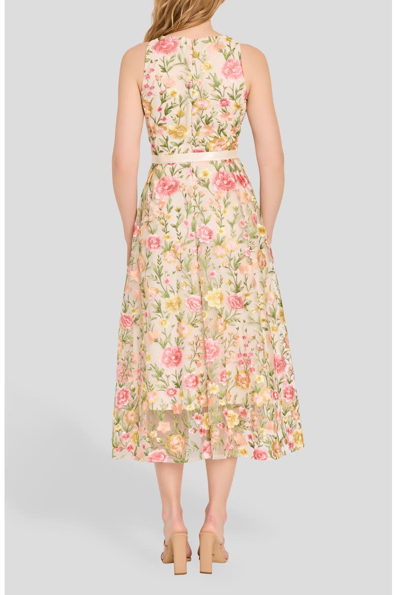Embroidered Sleeveless Midi Dress, Alternate, color, BUTTERCUP MULTI