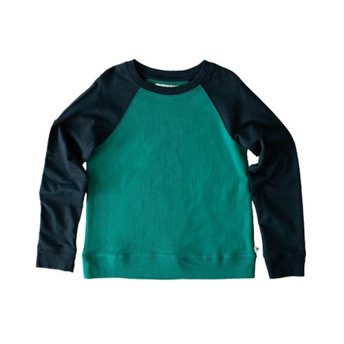 Jackalo Stevie Raglan Sweatshirt In Hunter Green & Navy