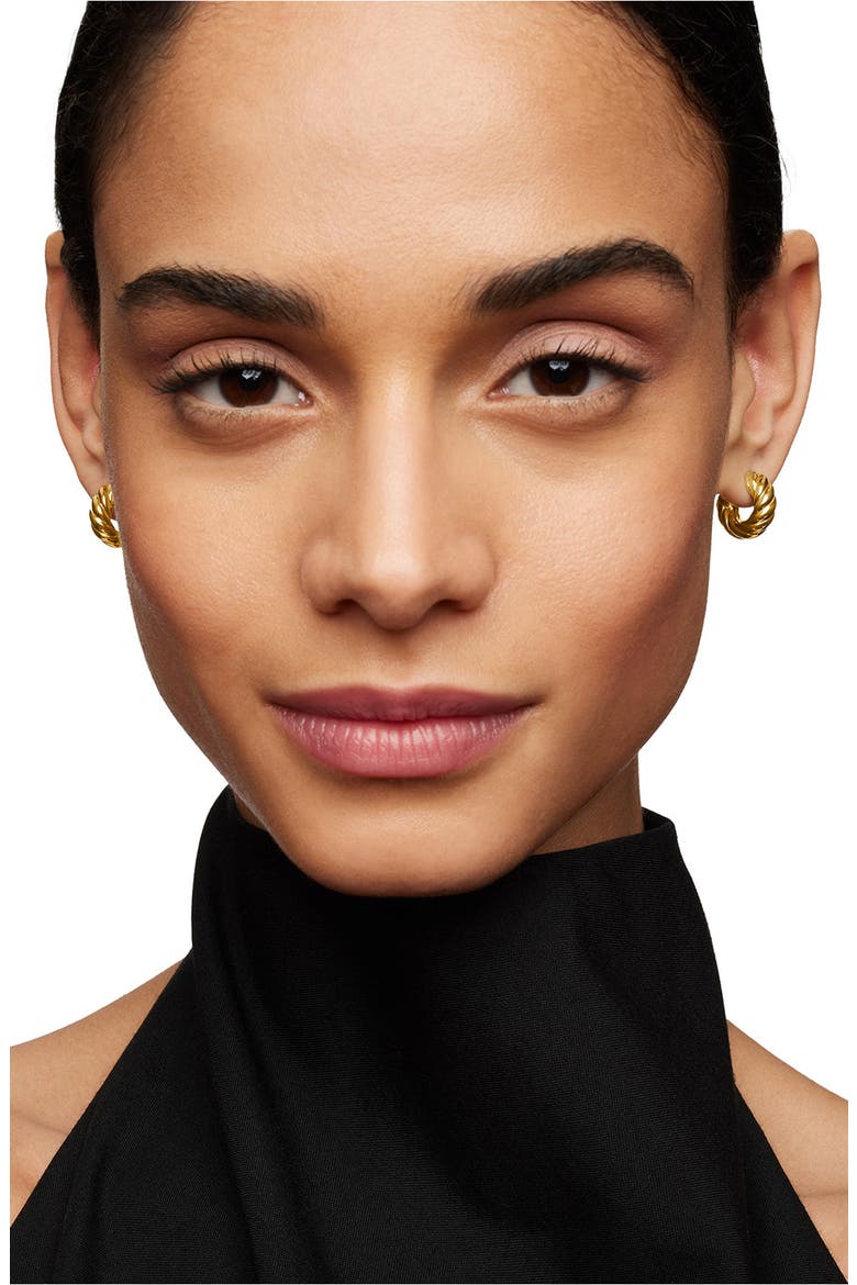 Sculpted Cable Hoop Earrings in 18K Yellow Gold, Alternate, color, 18K YELLOW GOLD