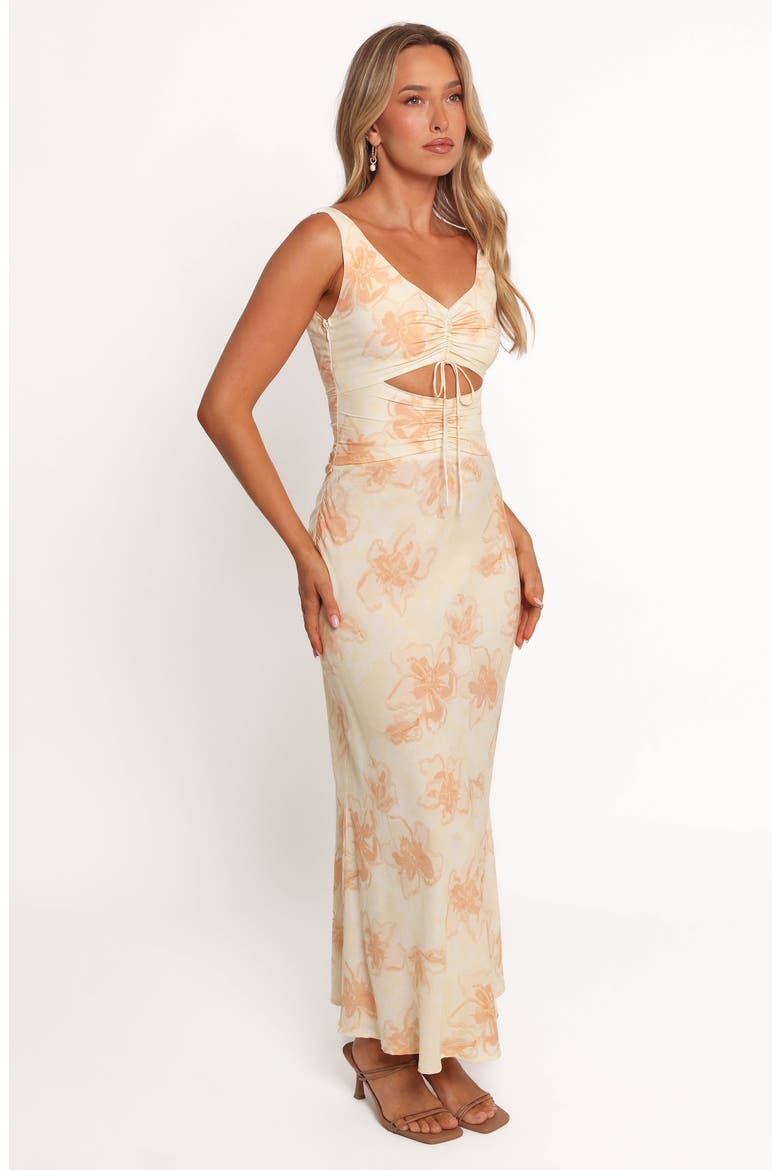 Orin Sleeveless Floral Print Dress, Alternate, color, YELLOW