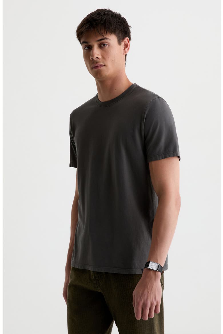 Bryce Crew T-Shirt, Alternate, color, EVENING SMOKE