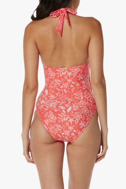 Helen Jon Tortoise Wrap One-piece In Multi