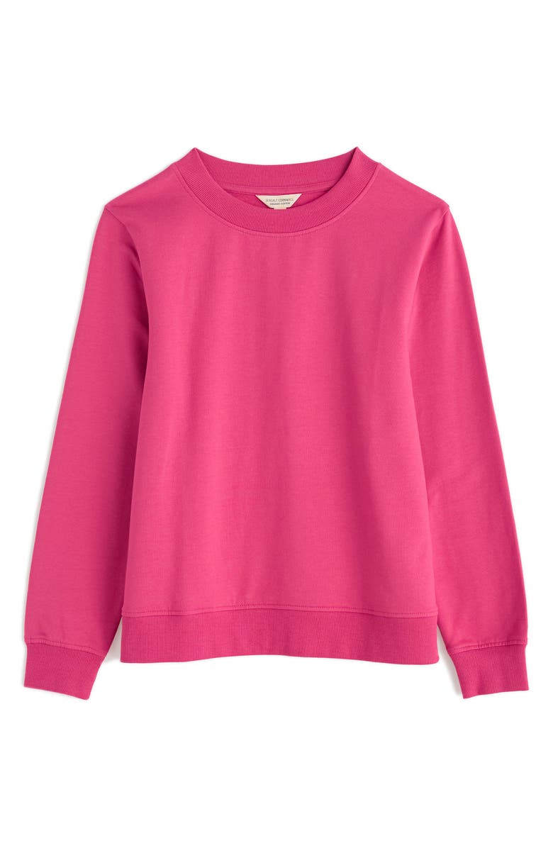 Seasalt Cornwall Crewneck Stretch Organic Cotton Sweatshirt, Alternate, color, 
