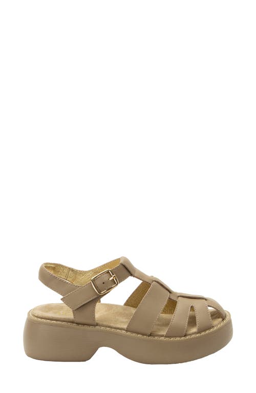 Alegria By Pg Lite Ingrid Fisherman Sandal
