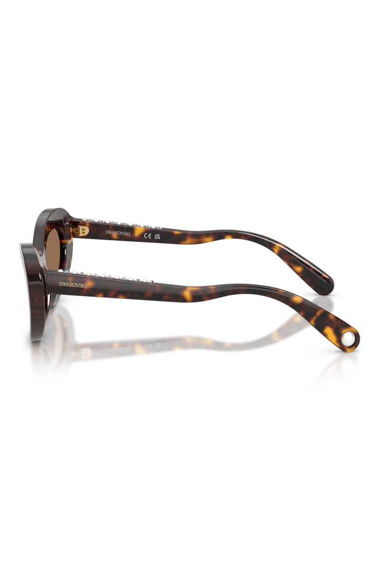 51mm Cat Eye Sunglasses, Alternate, color, HAVANA / DARK BROWN
