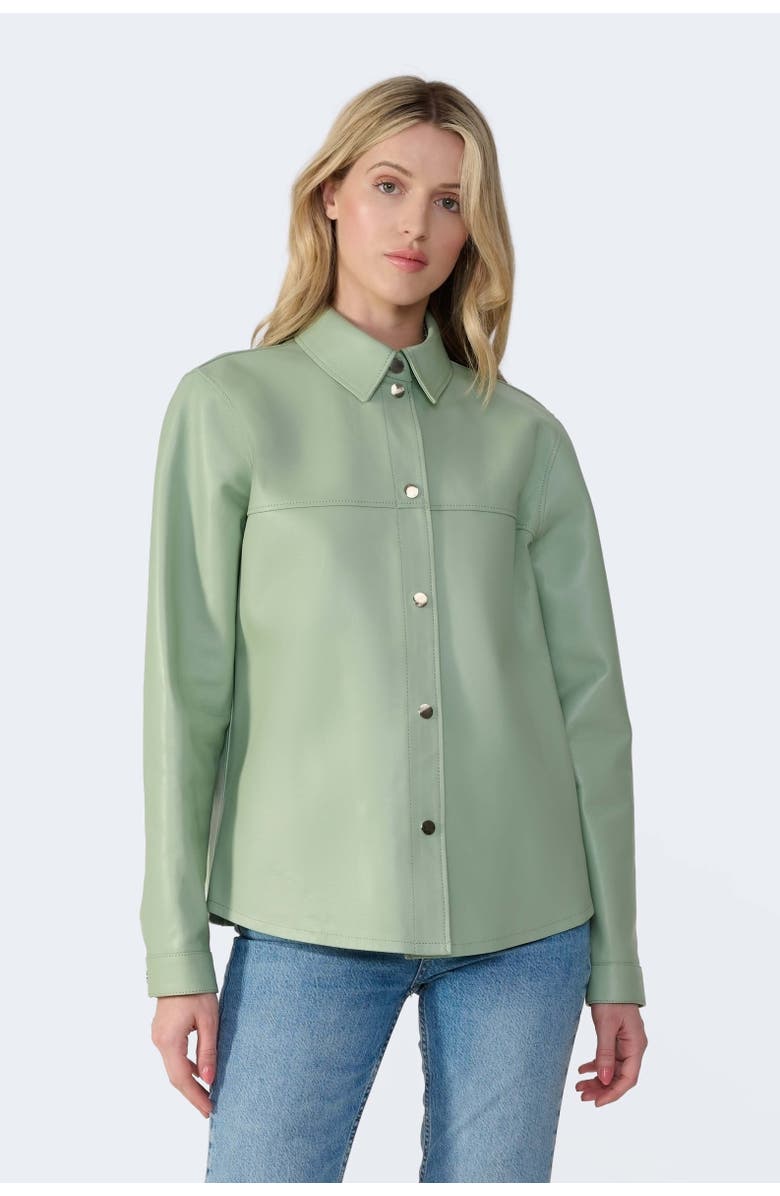 FURNIQ UK LLC Frankie Leather Shirt Jacket, Alternate, color, Light Green
