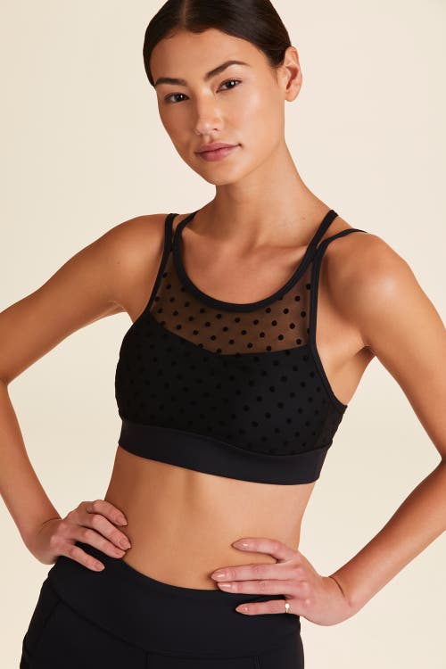 ALALA Mirage Cami Bra in Tulle Dot 