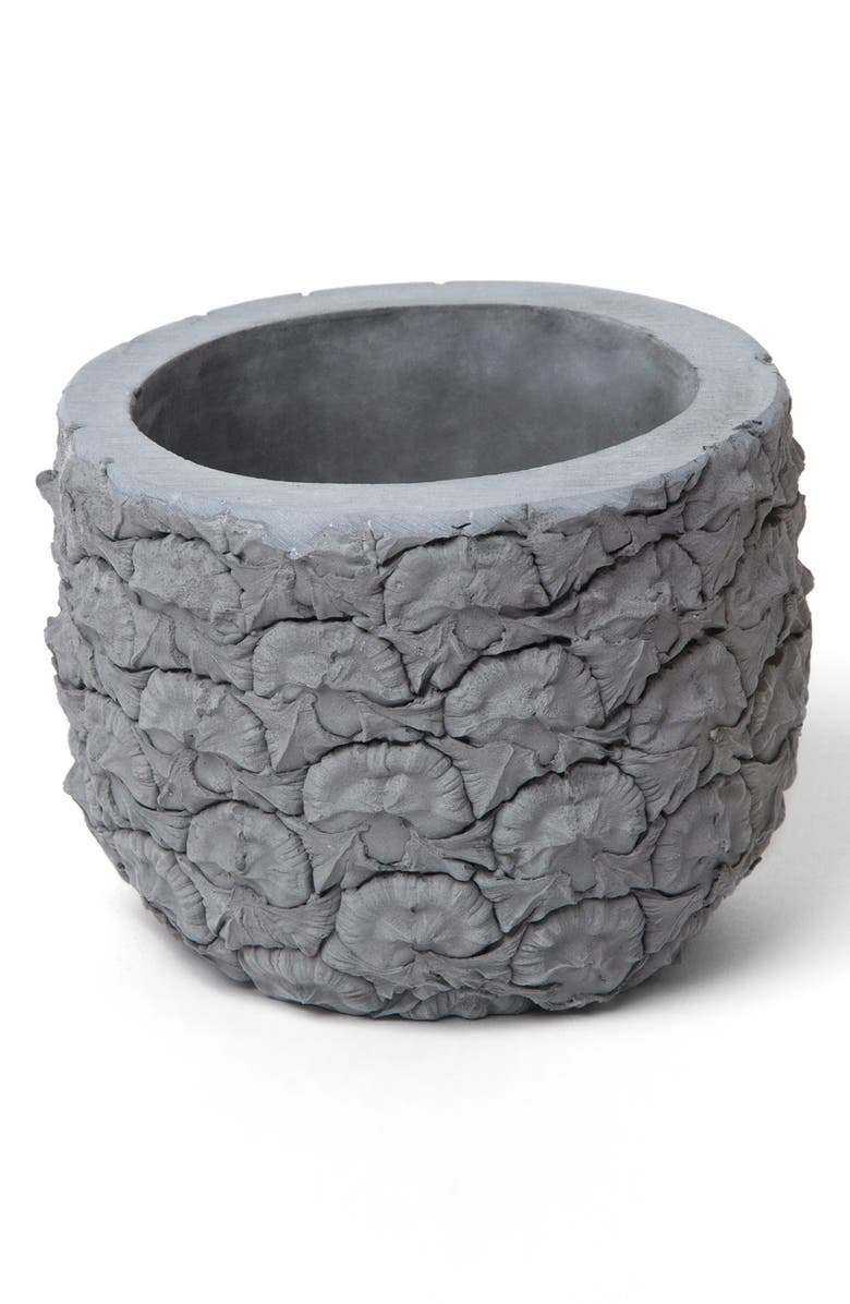 Chen Chen & Kai Williams 'Stone Fruit: Pineapple' Planter, Main, color,