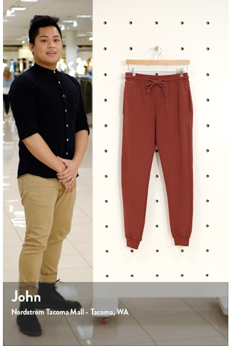 Loop Terry Joggers video