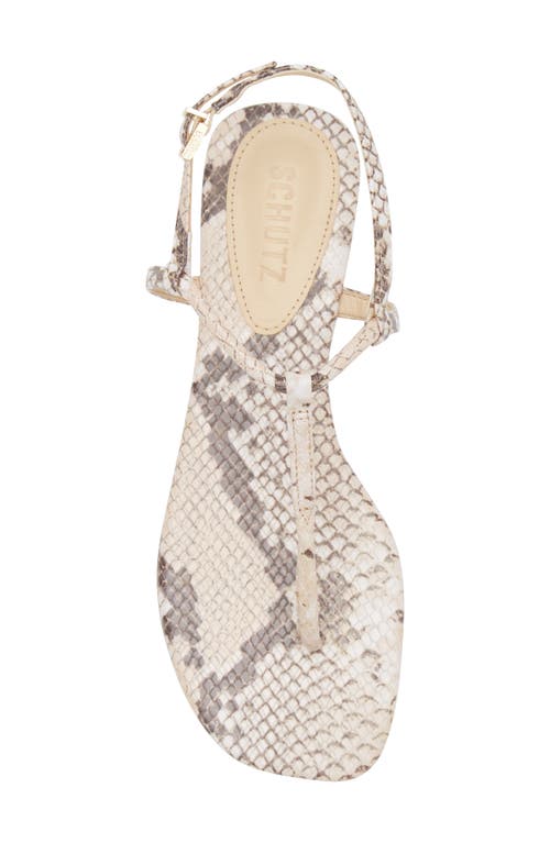 Shop Schutz Elsha Slingback Sandal In Beige Latte
