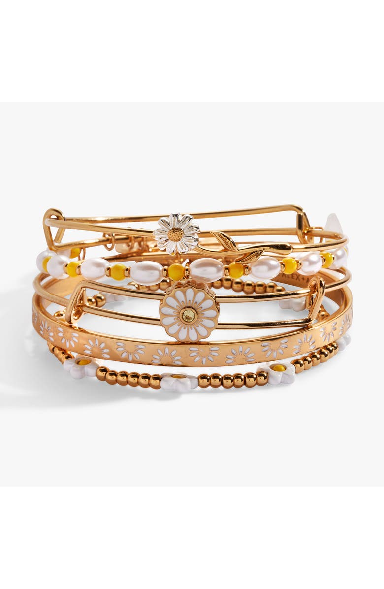Alex and Ani Daisy Bangle Bracelet Set of 5, Main, color, Gold