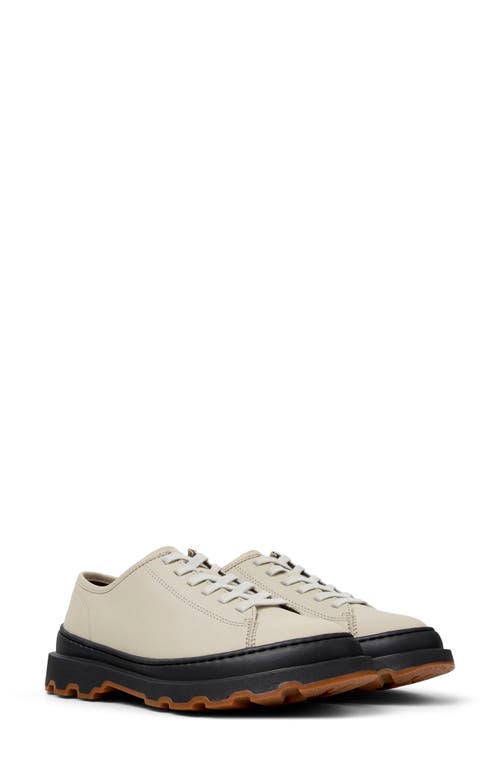Camper Brutus Derby In Neutral