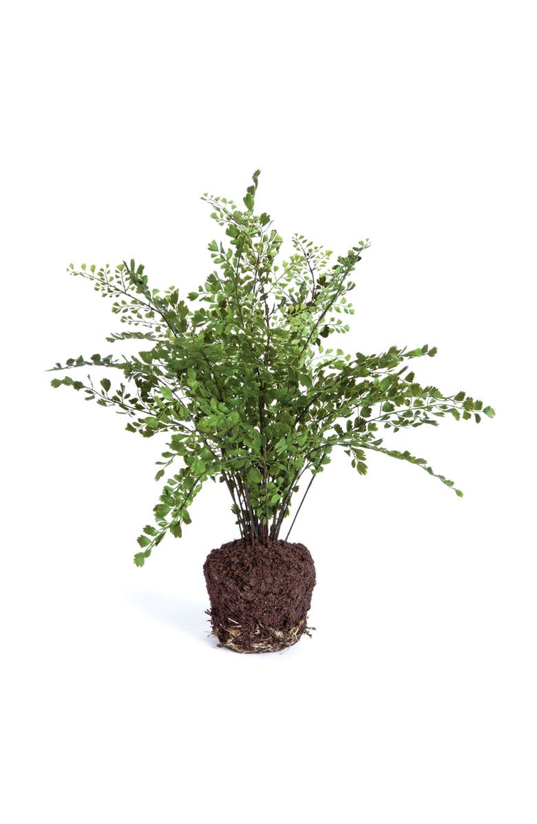 Napa Home & Garden Maiden Hair Drop-In 18", Main, color, Green