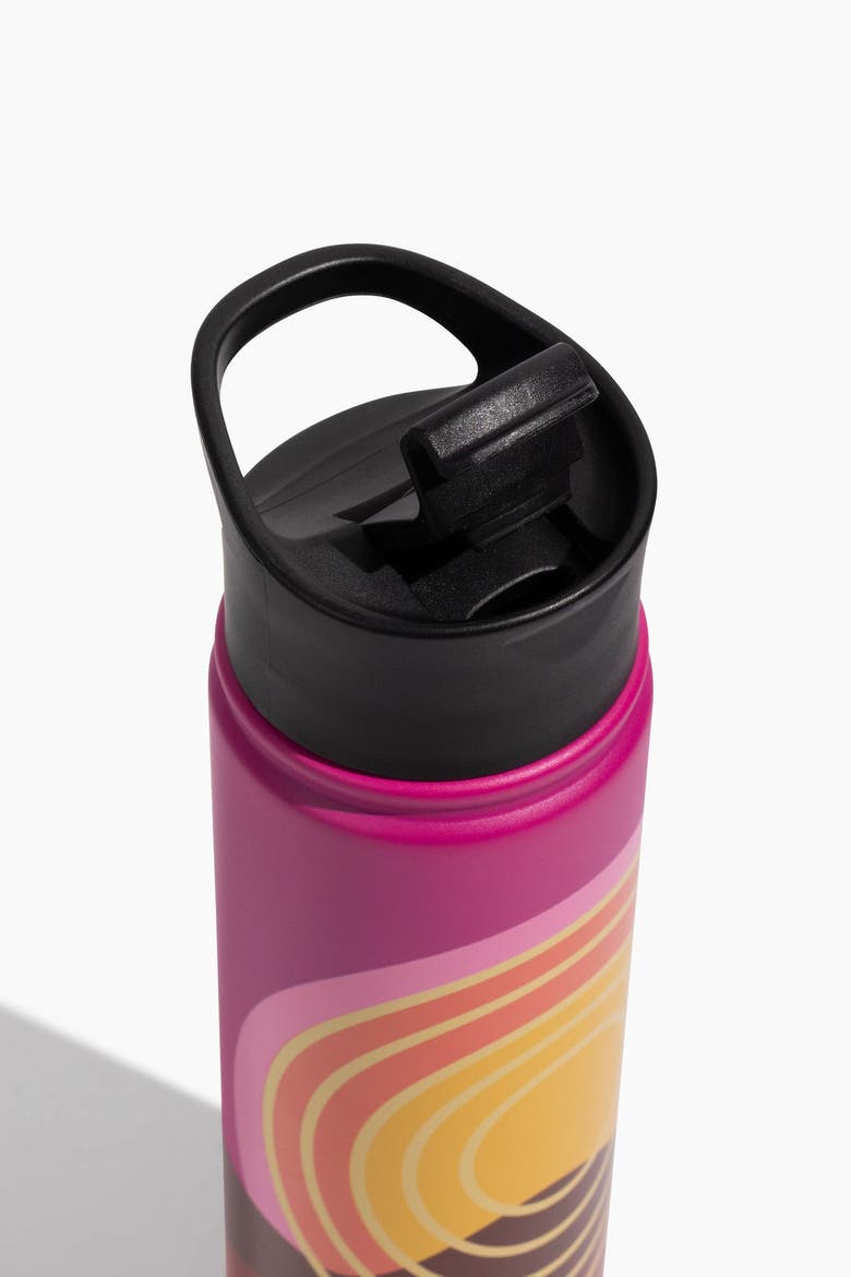 22 OZ Sunset Mountains Steel Bottle, Alternate, color, Beet Root
