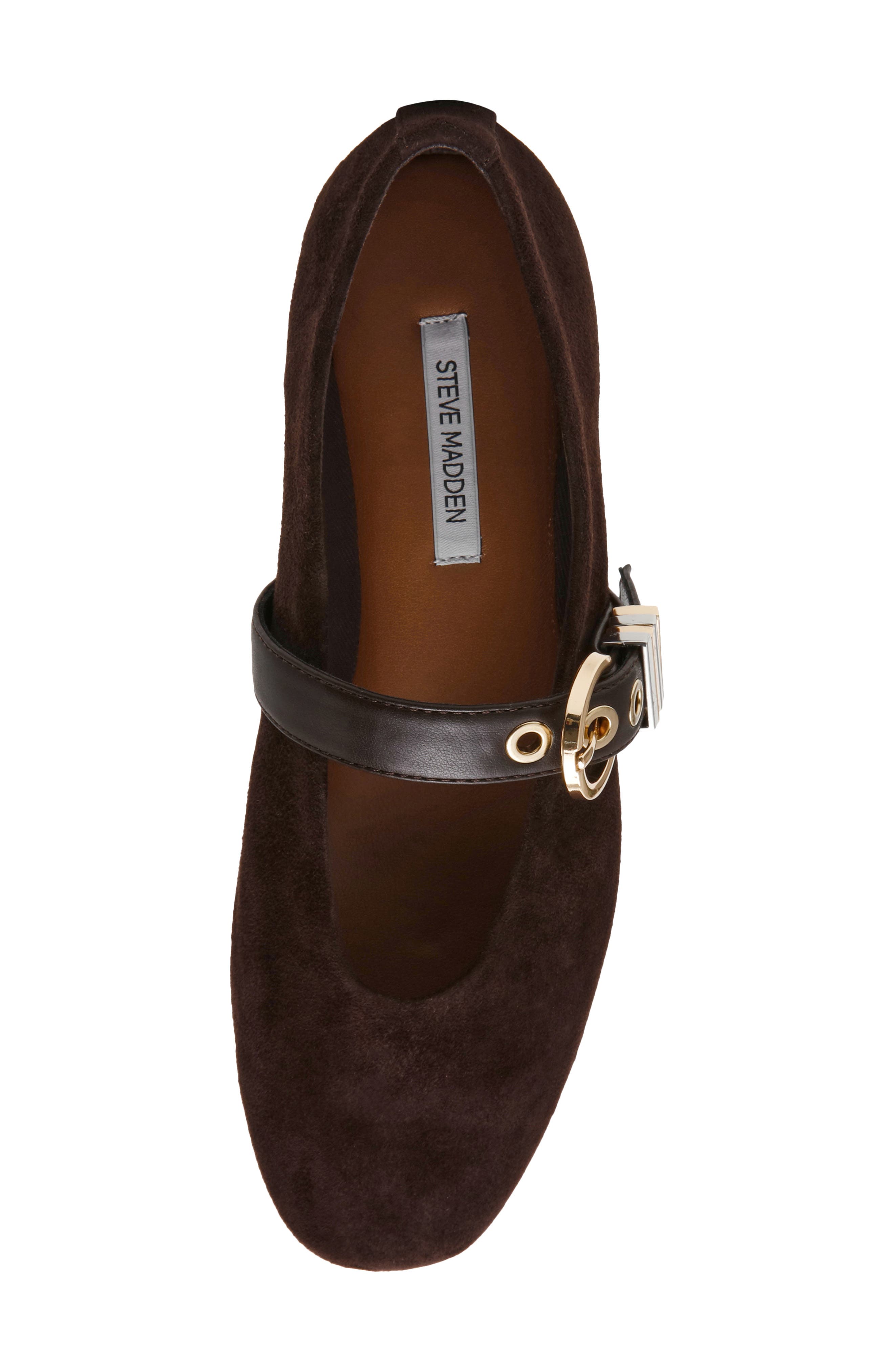 Lucia Mary Jane Flat, Alternate, color, BROWN SUEDE