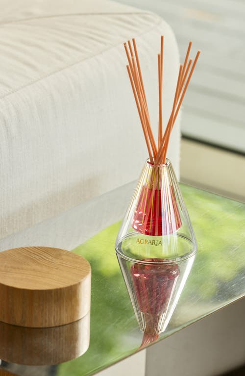 Agraria San Francisco Reed Diffuser In Pink