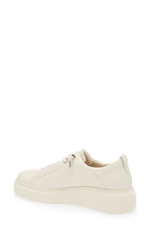 Paul Green Abbey Sneaker In Ivory Leather