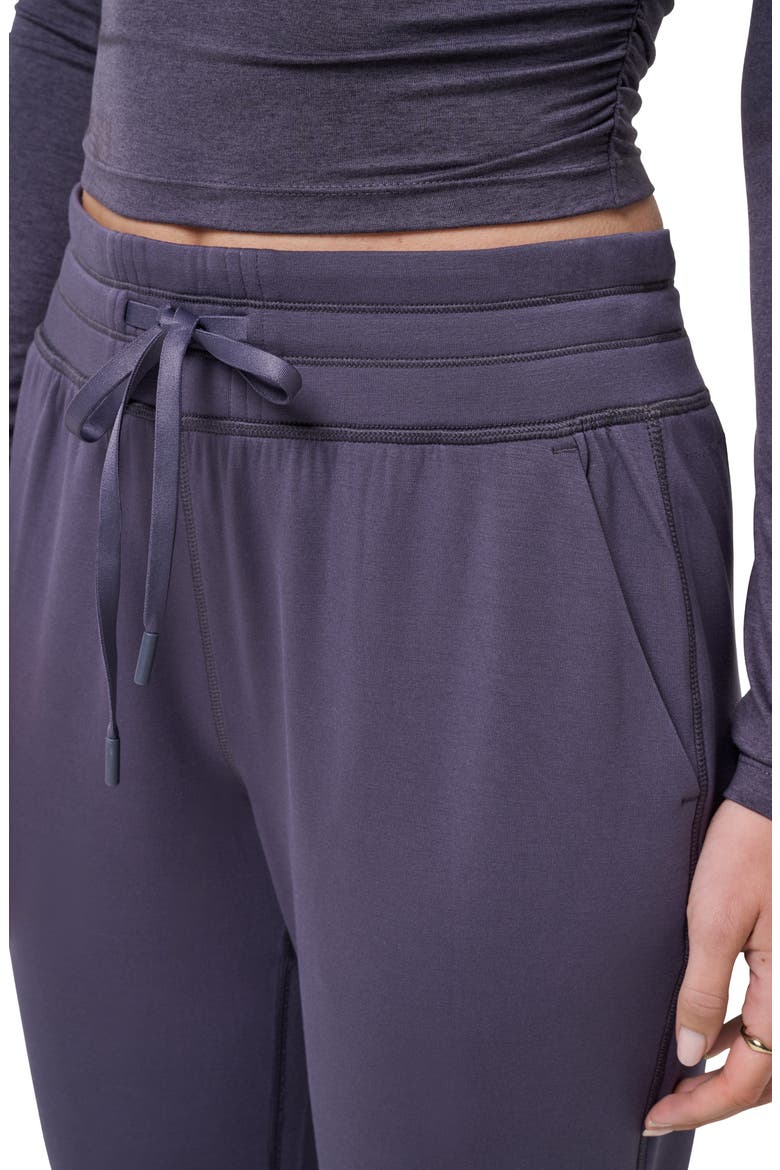 Skyloft Soft Ankle Pants, Alternate, color, GRAYSTONE