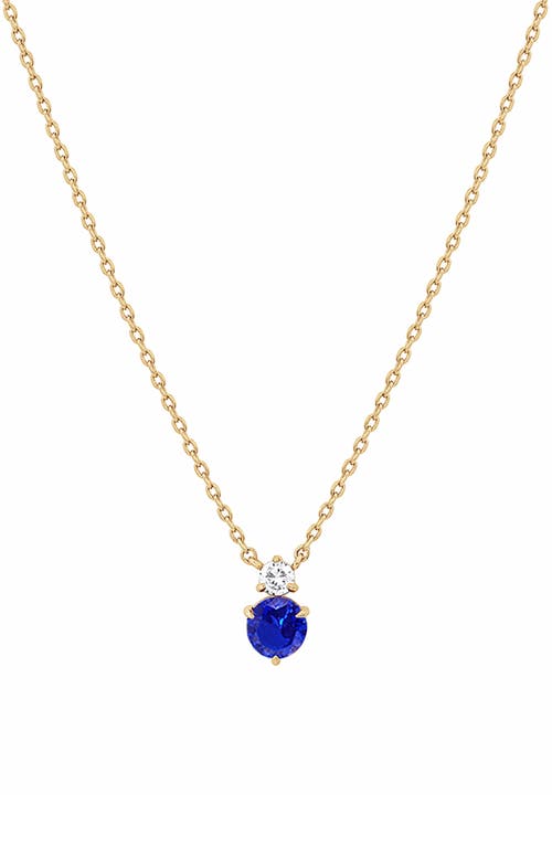 Bearfruit Jewelry 14k Gold Plated Deux Birthstone Necklace Personal Holiday Gift Idea in Sapphire/september  product