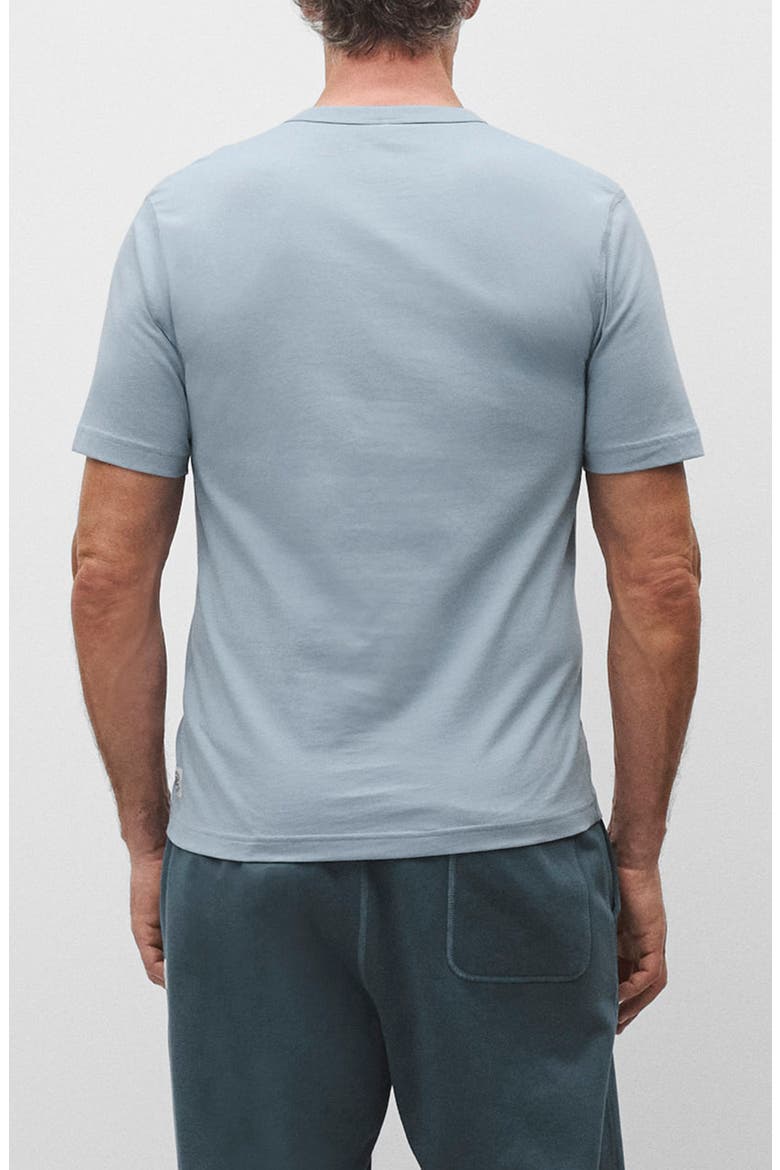 Lightweight Standard T-Shirt, Alternate, color, GULF