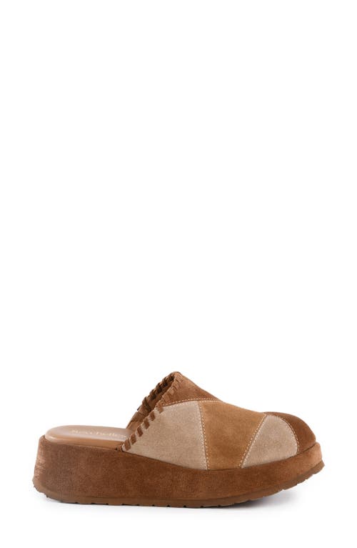 Seychelles Whammy Platform Clog In Multi