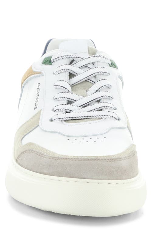 Ambitious 13449 Low Top Sneaker In Sand