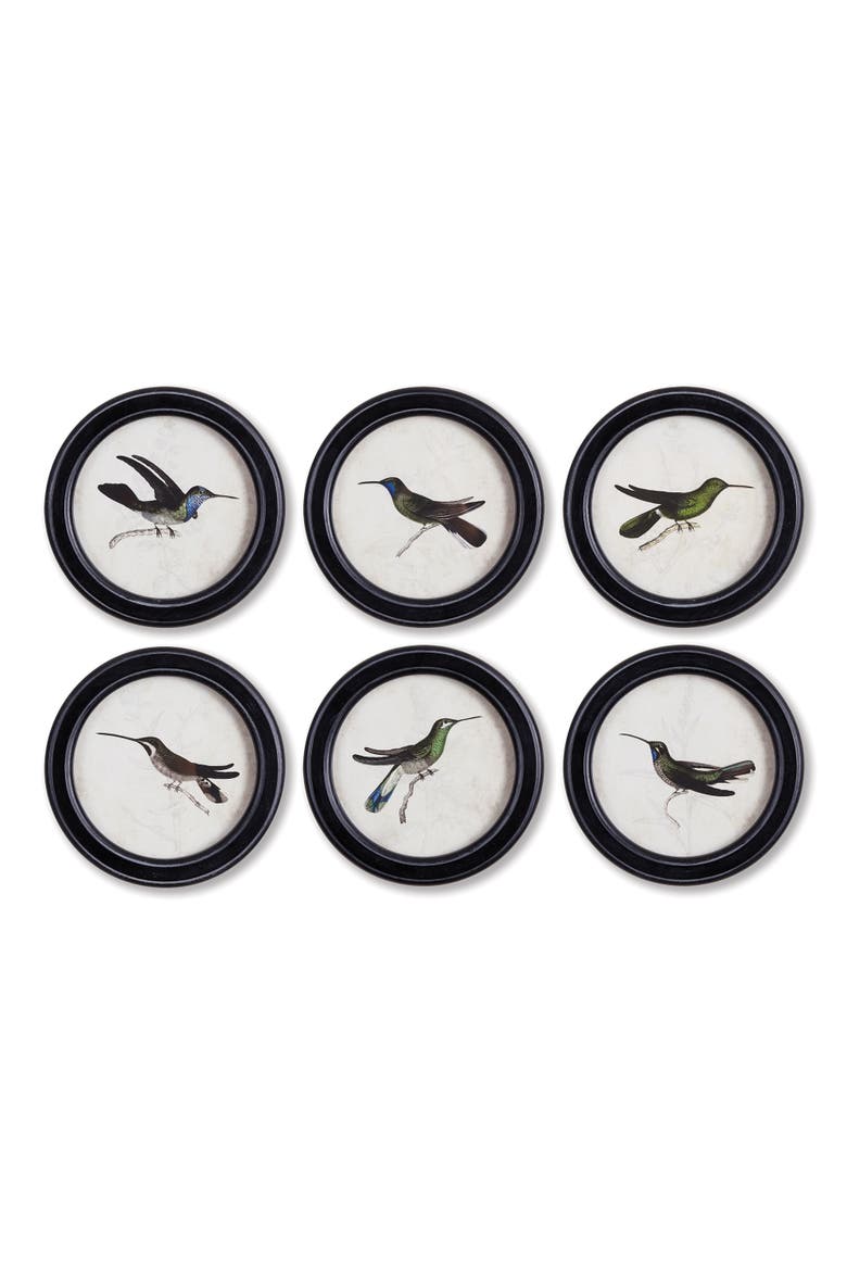 Hummingbird Round Petite Prints Set of 6, Main, color, Black