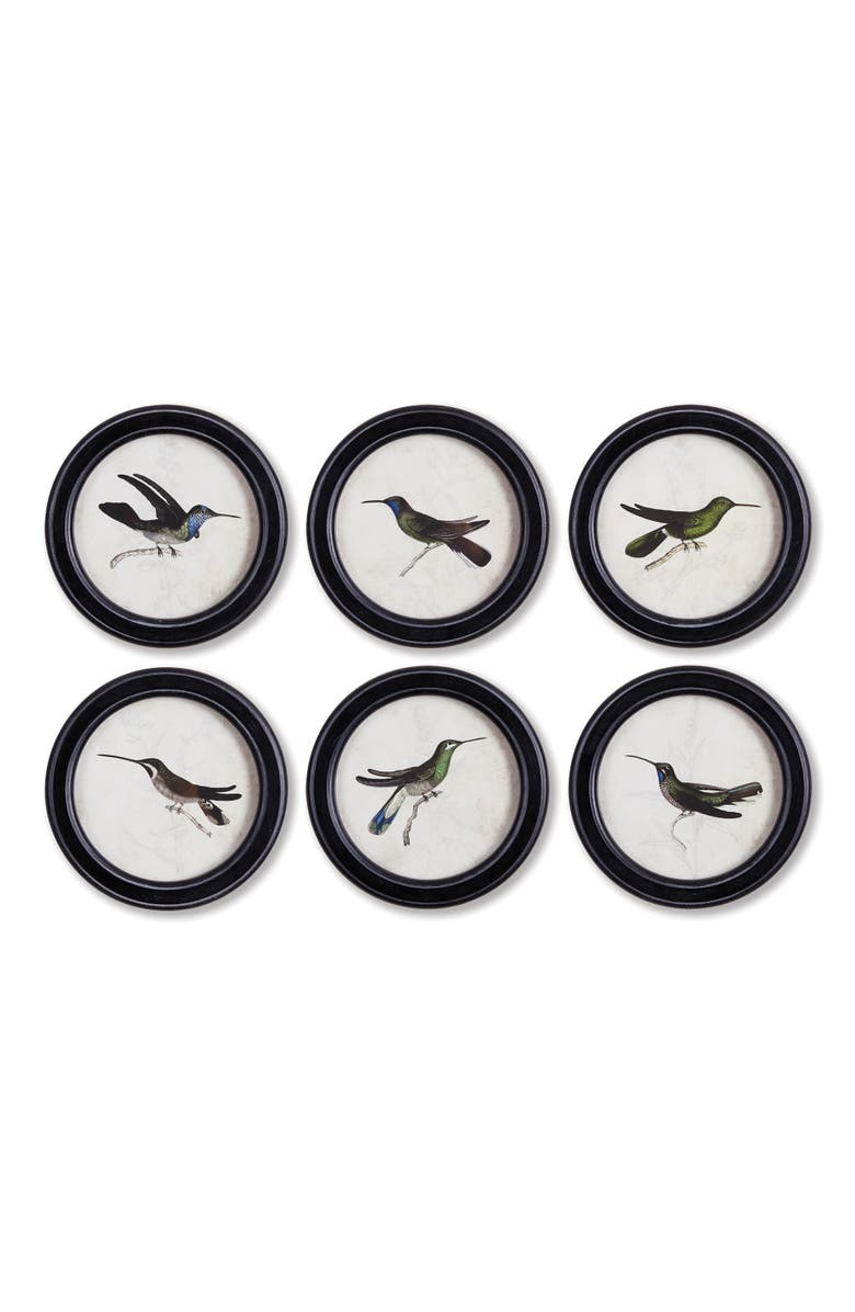Napa Home & Garden Hummingbird Round Petite Prints Set of 6, Main, color, Black
