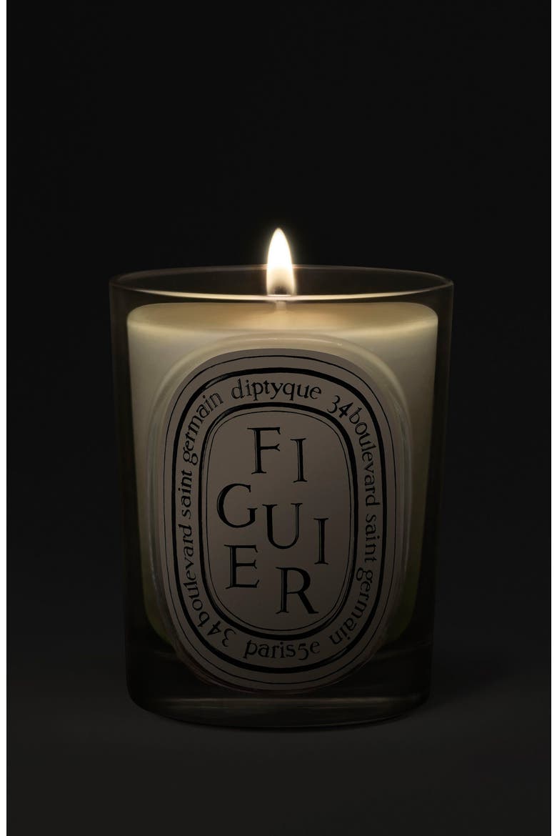 Figuier (Fig Tree) Classic Candle, Alternate, color, NO COLOR