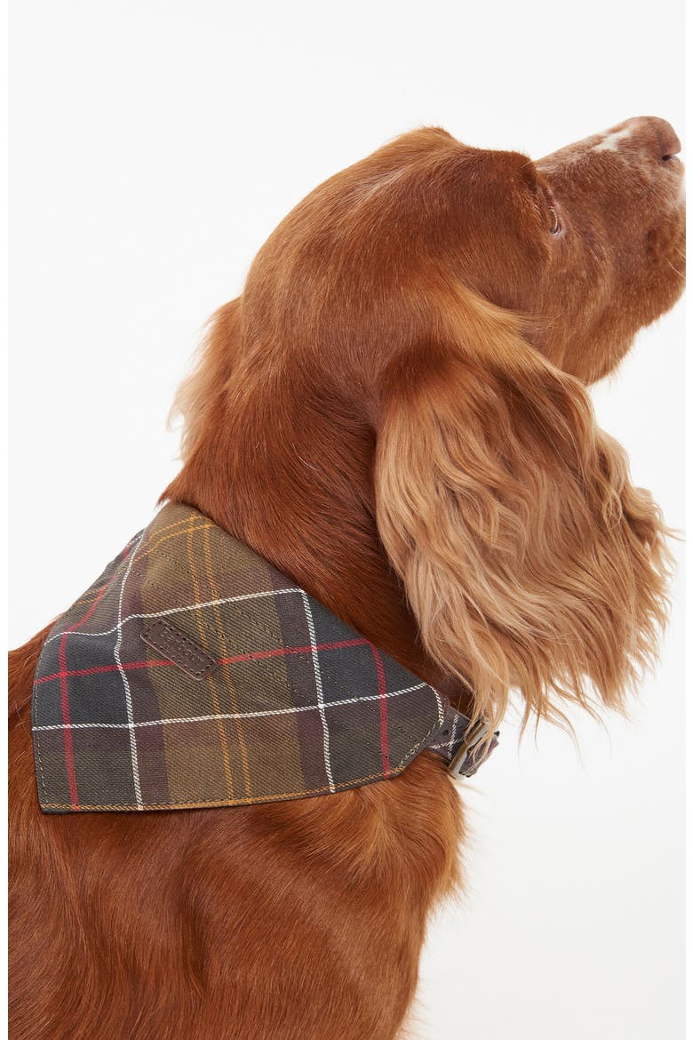 Tartan Dog Bandana, Main, color, CLASSIC TARTAN
