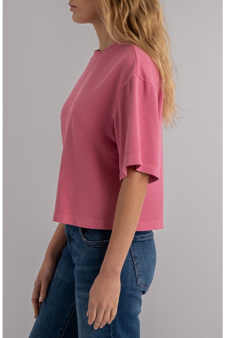 Reina Boxy T-Shirt, Alternate, color, LIPSTICK