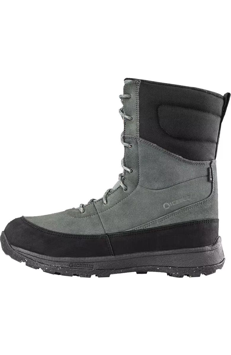 Icebug Torne 2 BUGrip GTX Boot - Men's, Main, color,