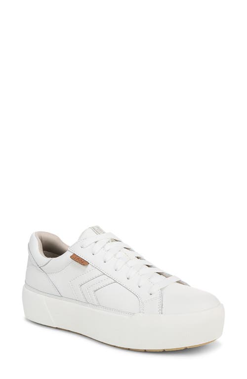 DR. SCHOLL'S DR. SCHOLL'S YOUNG & FREE SNEAKER