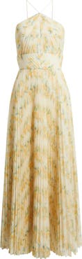 Hutch Blaine Pleated Gown