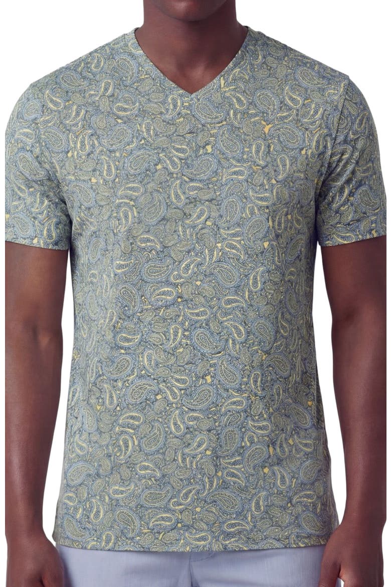 Paisley Pile Mens Vneck Tee, Alternate, color, PAISLEY PILE SUNSHINE