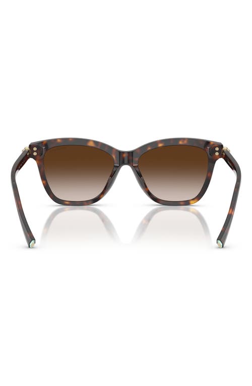 Tiffany & Co . 54mm Gradient Square Sunglasses In Brown