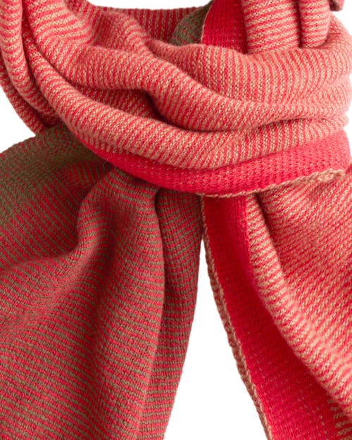 Monticelli Cashmere Cashmere Merino Ultra-soft Marled Knit Scarf
